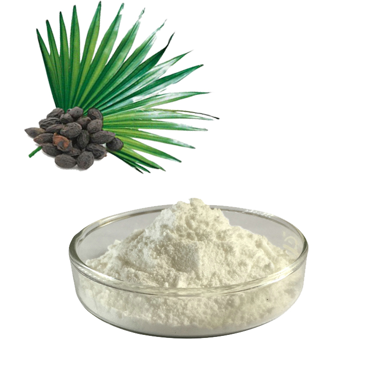 Какво е екстракт от Saw Palmetto? И каква е ползата от Saw Palmetto Extract?